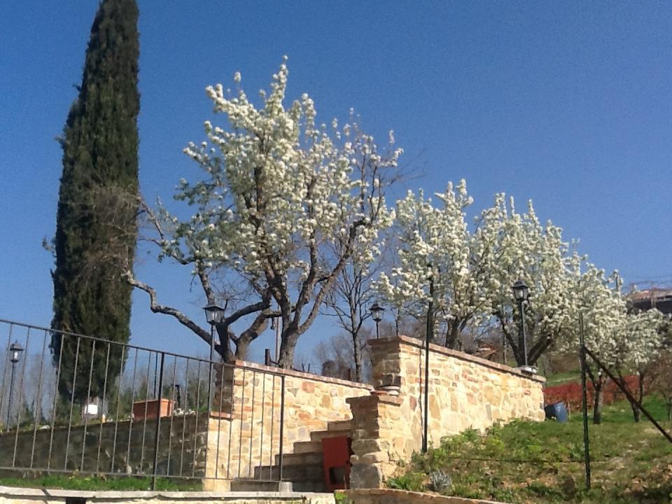 Casatorta Bed and Breakfast Vicchio Buitenkant foto